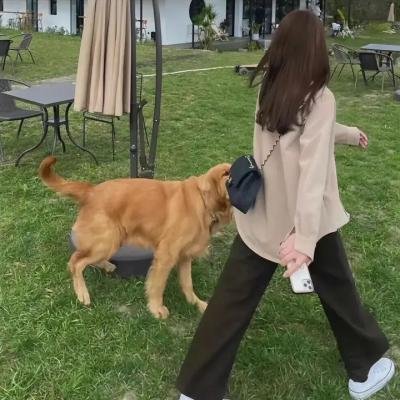 玛丹娜